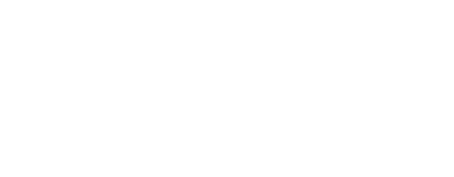 simons-lens.art Logo